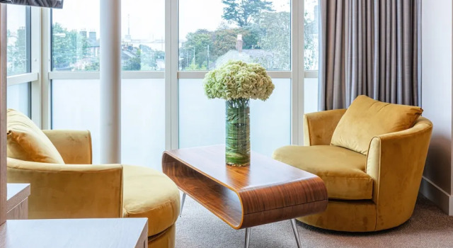 Одноместный люкс Gleesons Townhouse Booterstown