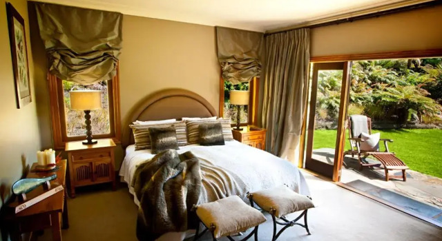 Номер Standard Treetops Lodge & Estate