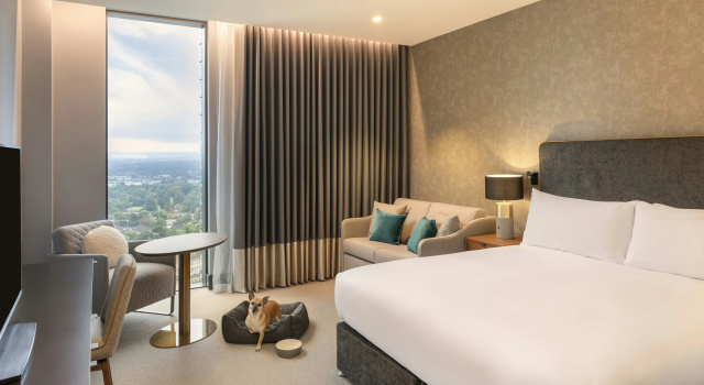 Hilton Woking