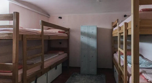 Bett im Wohnheim (Frauenwohnheim) Palmers Lodge Hostel