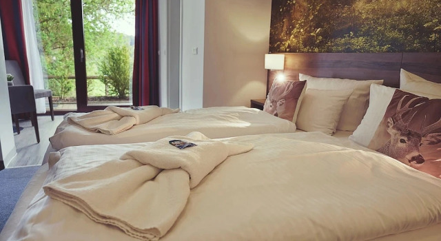 Номер Superior Hotel Mein Bergblick