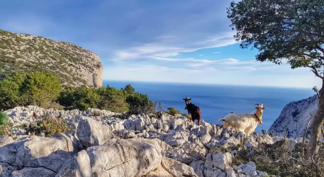 Appartamento tra mare e montagna