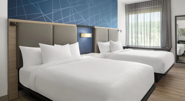 Четырёхместный люкс Springhill Suites By Marriott Roanoke North