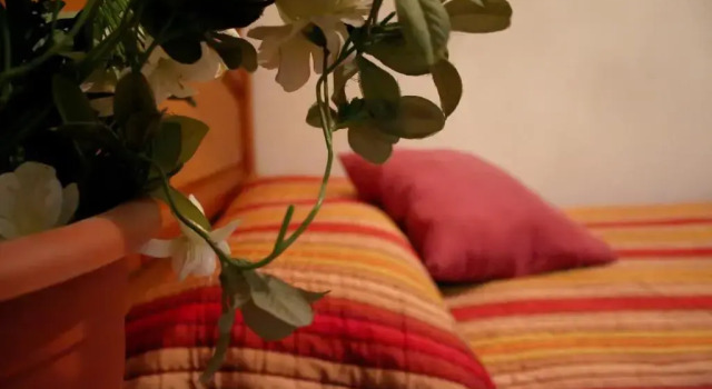 Номер Economy Hostal Ramón y Cajal