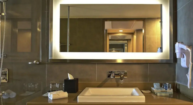 Двухместный номер Executive Novotel Chennai Sipcot