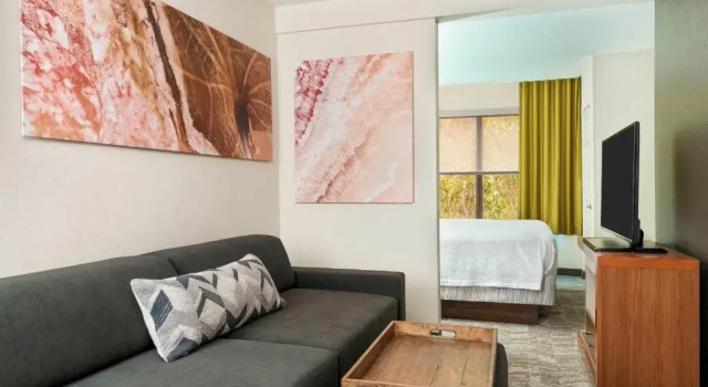 Люкс SpringHill Suites Asheville
