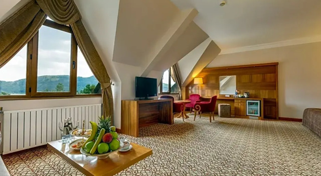 Номер Deluxe с видом на озеро Buyuk Abant Hotel