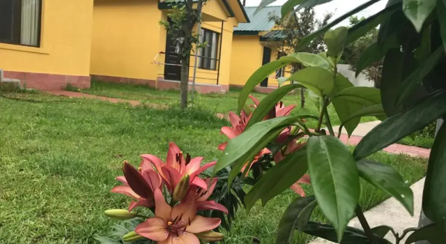 Коттедж Senima's paradise