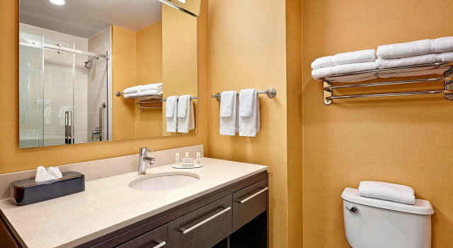 Двухместный люкс c 1 комнатой TownePlace Suites by Marriott London
