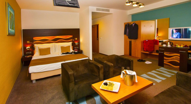 Двухместный номер Deluxe Danubia Gate Hotel