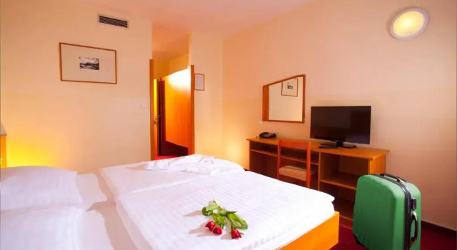 Двухместный номер Standard Hotel Vesna