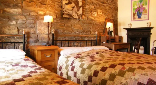 Номер Standard Druid Cottage