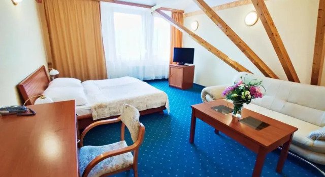 Двухместный номер Standard Hotel Panorama
