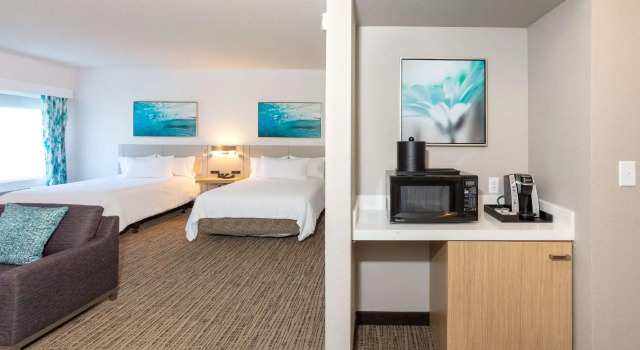 Четырёхместный номер Standard Hilton Garden Inn Daytona Beach Airport