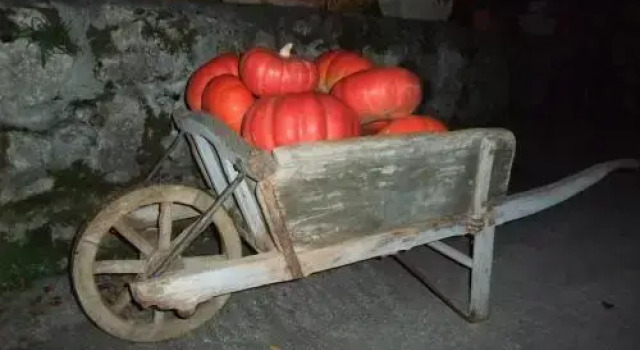 Le Domaine du Grand Cellier Gîtes Appartement en Savoie