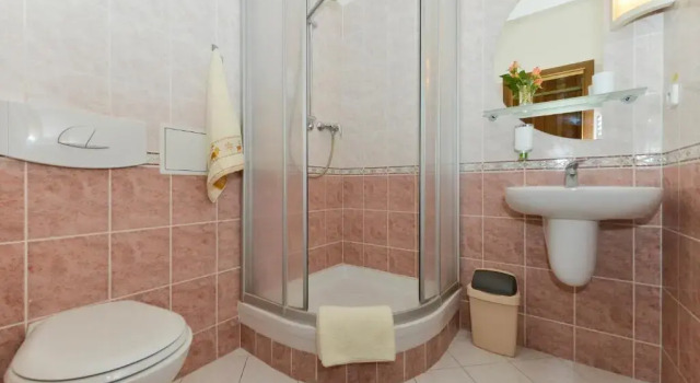 Двухместный номер Standard Hotel Trilobit