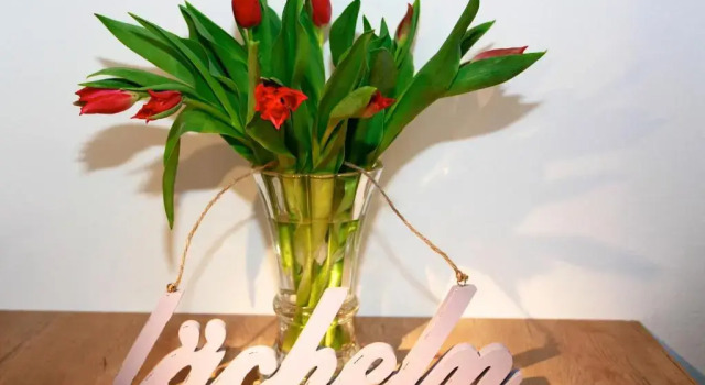 Одноместный номер Standard Gasthof-Hotel Höhensteiger