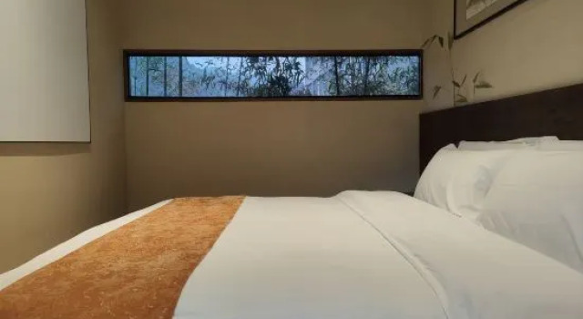 Люкс Yuxi Art Gallery Homestay (Jingdezhen Sanbao International Ceramic Art Village Branch)