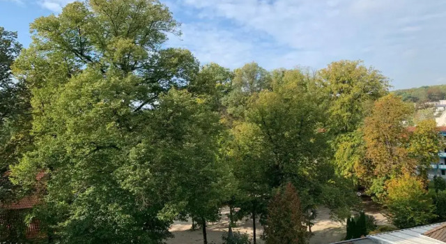 Апартаменты Gala Apartment am Kurpark