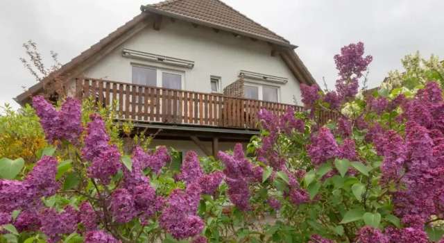 Strandhaus Malchow, Забронировать Отель Отели Мекленбургское поозёрье с парковкой, Парковка