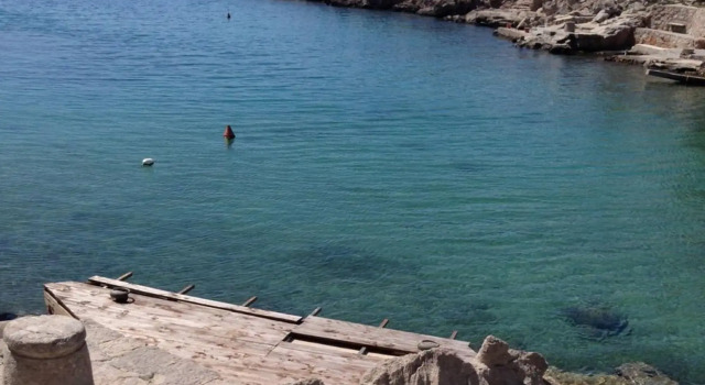 Ana - 5 m From Beach - A2 Rozi, Prenota Hotel Cesarica 