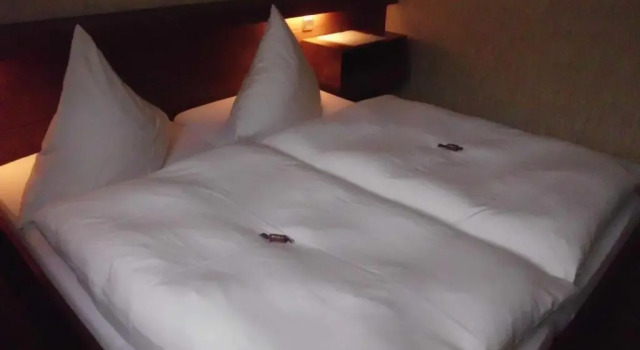 Finken, Gästezimmer an der Rench, Забронировать Отель Оппенау Шварцвальд