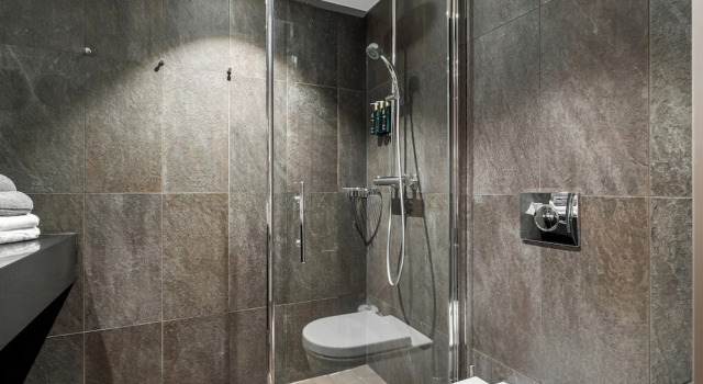Двухместный семейный номер Standard Clarion Hotel Admiral