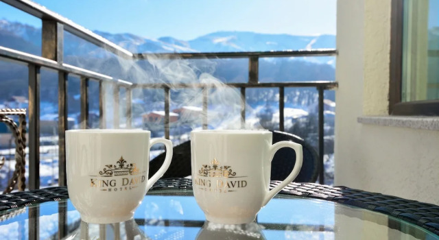 Номер Economy Hotel King David Bakuriani Mountain View
