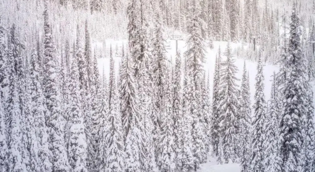 Seasons Four by Snowmass Vacations, Buchen Sie Hotel SPA-Hotels in Aspen-Snowmass, SPA