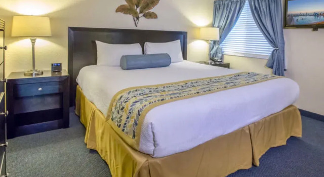 Tampa Waterfront 33183, Book Hotel Tampa Florida