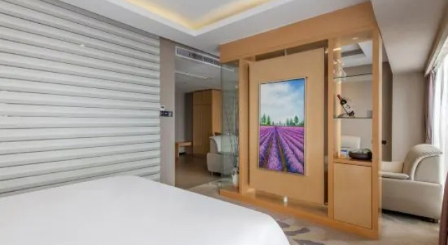 Люкс Deluxe IU Hotels·Zhongshan Xiaolan Parkway Plaza