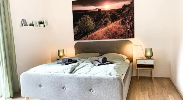 Home away from Home in a lovely vine region Bingen