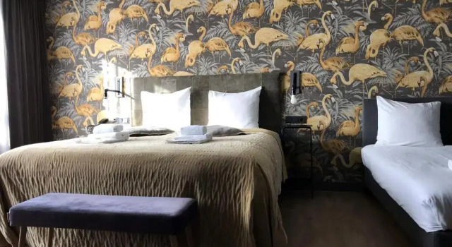 Трёхместный люкс Comfort Boutique Suites Lisse - Keukenhof