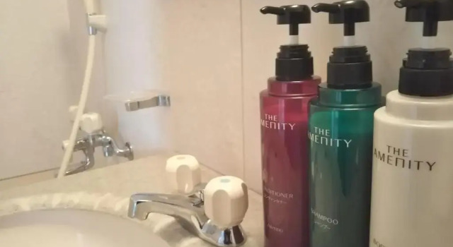 Номер Standard Sky Hotel Namerikawa