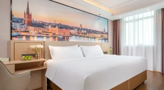 Люкс Deluxe Vienna Hotel Dongguan Songshan Lake