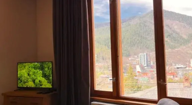 Двухместный номер Standard с видом на горы Guest House Borjomi Verde