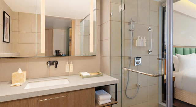 Двухместный номер Standard Hilton Garden Inn Surat City Centre