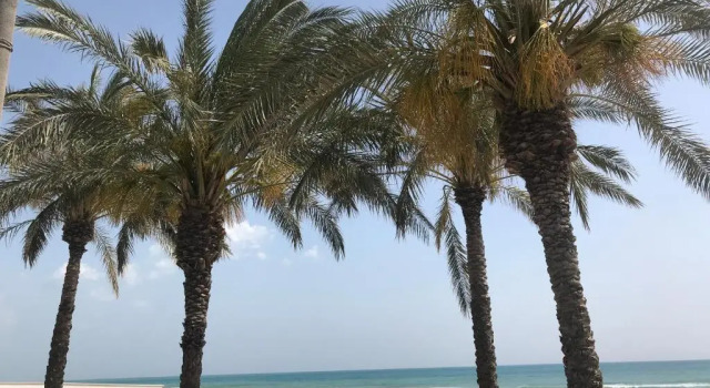 Vista Mare Apartment, Book Apartment Hotels in Sicily with Parking, Parking