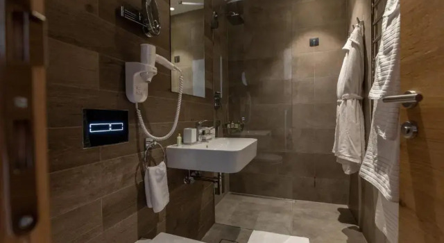 Номер Deluxe Hotel Ramonda