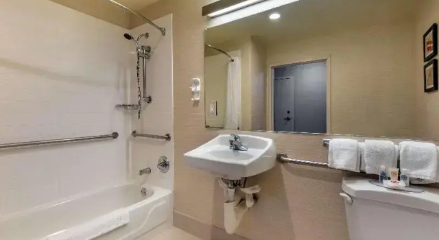 Четырёхместный номер Standard Comfort Inn & Suites North Dallas-Addison