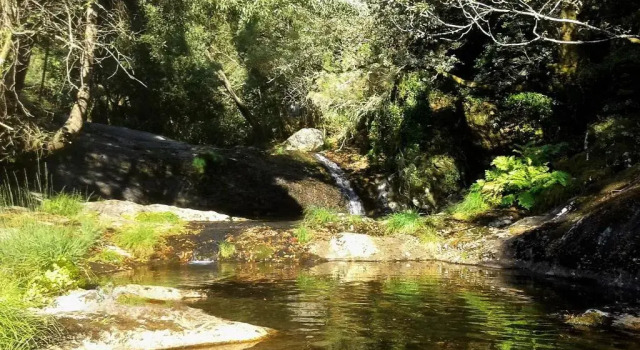 Serra de Arga Mountain House, Rezerwuj Apartament Hotele w Minho z parkingiem, Parking