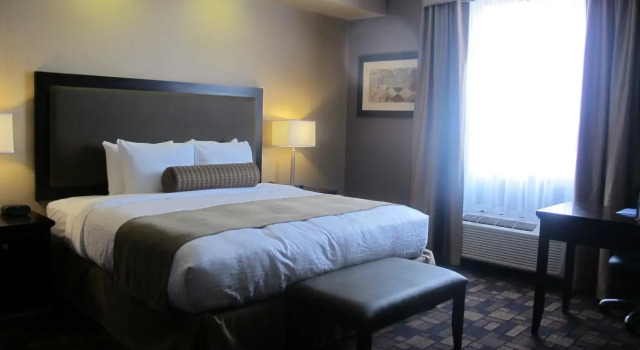 Номер Standard Best Western PLUS Fox Creek