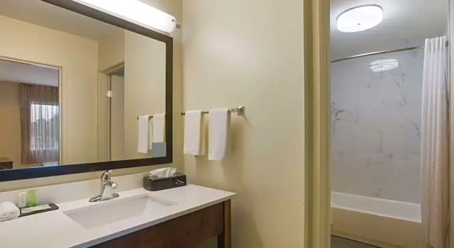 Номер Business Sleep Inn Savannah Midtown