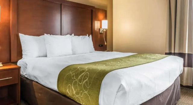 Suite doppia Standard Comfort Suites