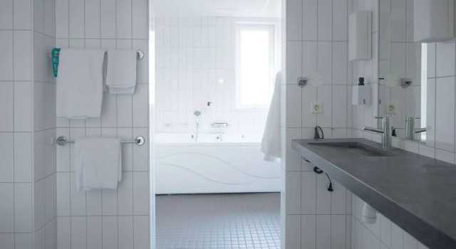 Полулюкс Scandic Borlänge