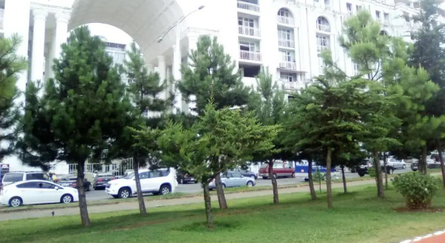 Апартаменты Magnolia apartments