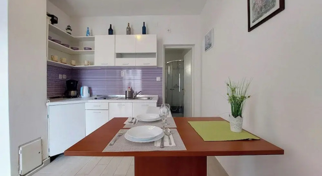 Студия Apartments Ivanka