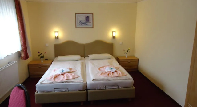 Одноместный номер Standard Hotel & Restaurant Beckmanns Winzerhaus