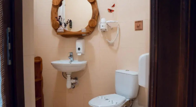 Двухместный номер Standard Stara Pravda Hotel - Vykrutasy