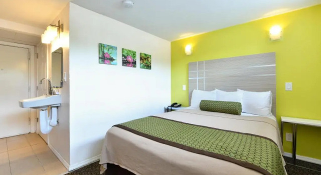 Одноместный номер Standard Inn At Jericho